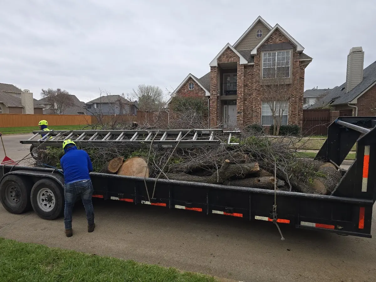 Expert Tree Pest Control with proper safety equipment in Saint Agatha